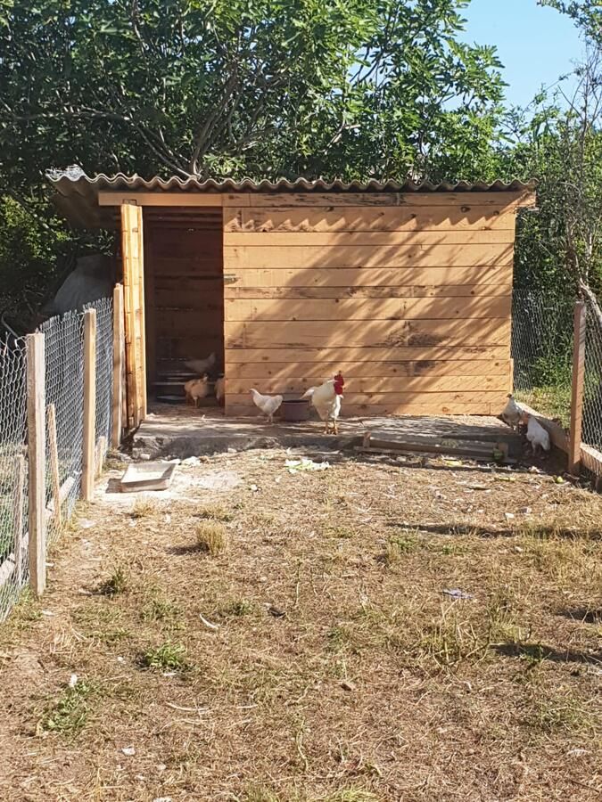 Апартаменты Apartments Marija Будва-17