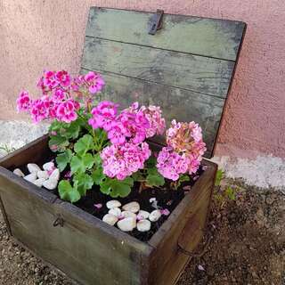 Апартаменты Apartments Marija Будва-7