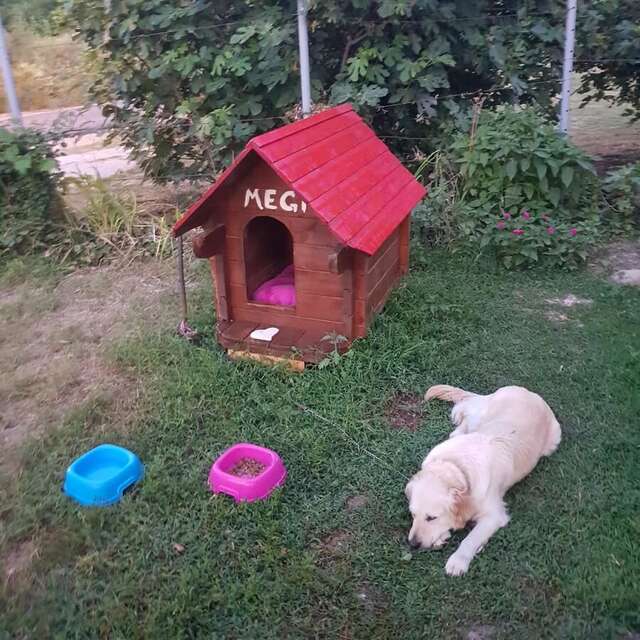 Апартаменты Apartments Marija Будва-12