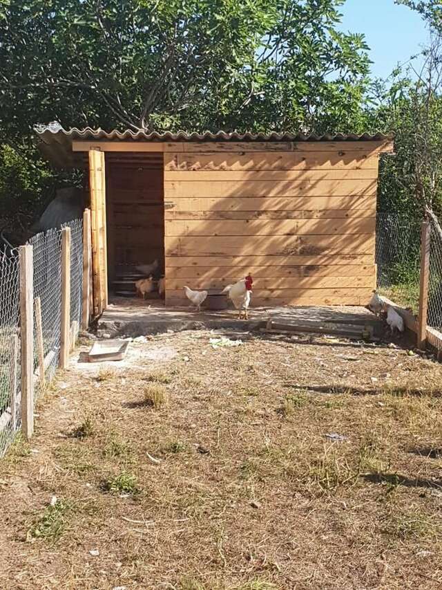 Апартаменты Apartments Marija Будва-16