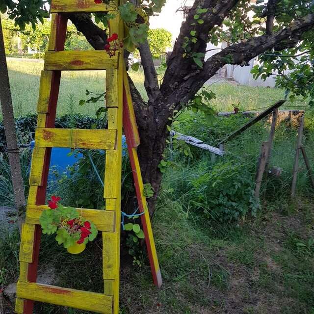 Апартаменты Apartments Marija Будва-5