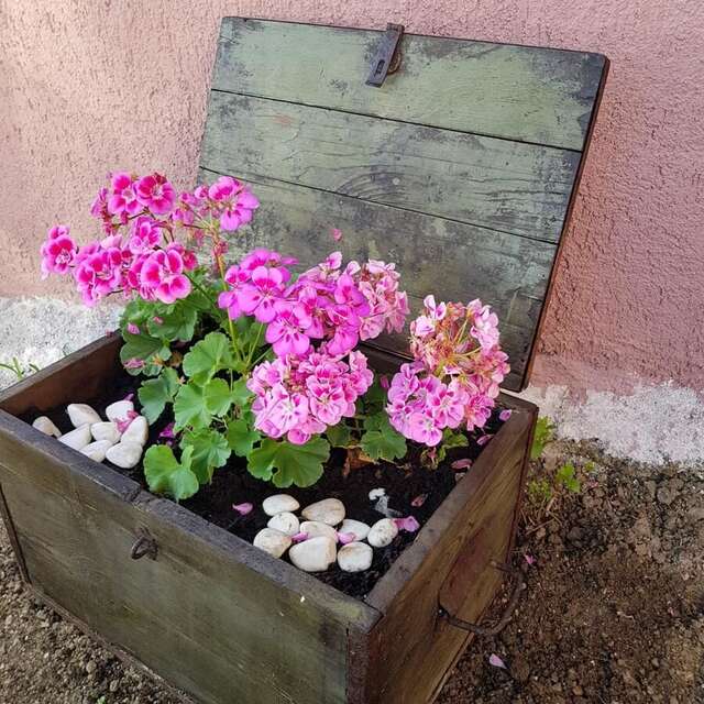 Апартаменты Apartments Marija Будва-10